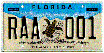 Helping Sea Turtles Survive License Plate - Thonotosassa FL